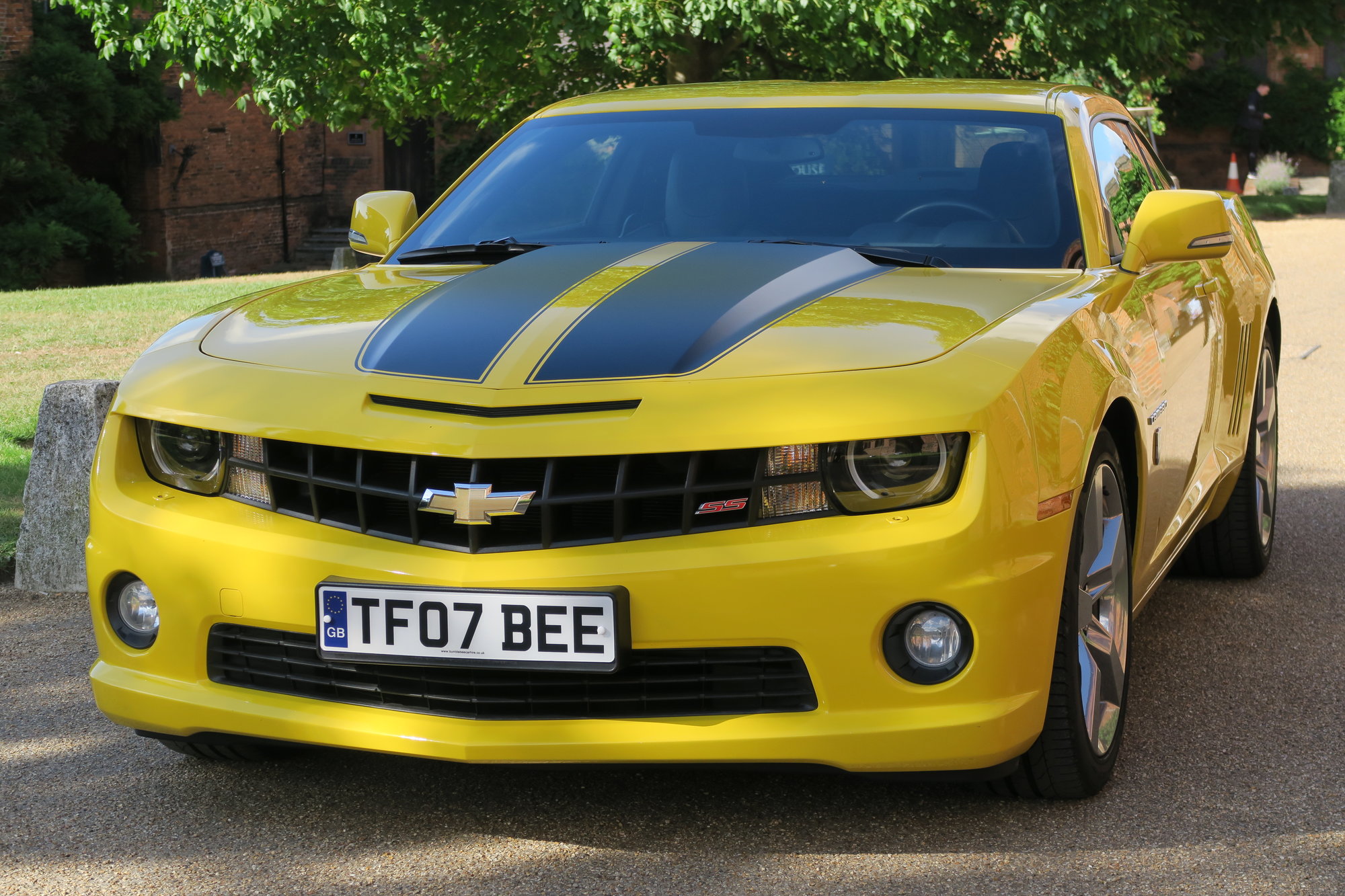 Welcome to bumblebee car hire